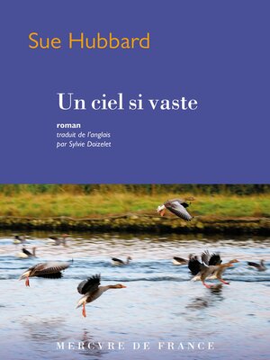cover image of Un ciel si vaste